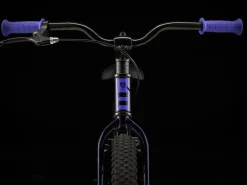 Kids Trek Bikes Precaliber 20