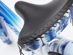 Trek Bikes Shibori Cruiser Go!