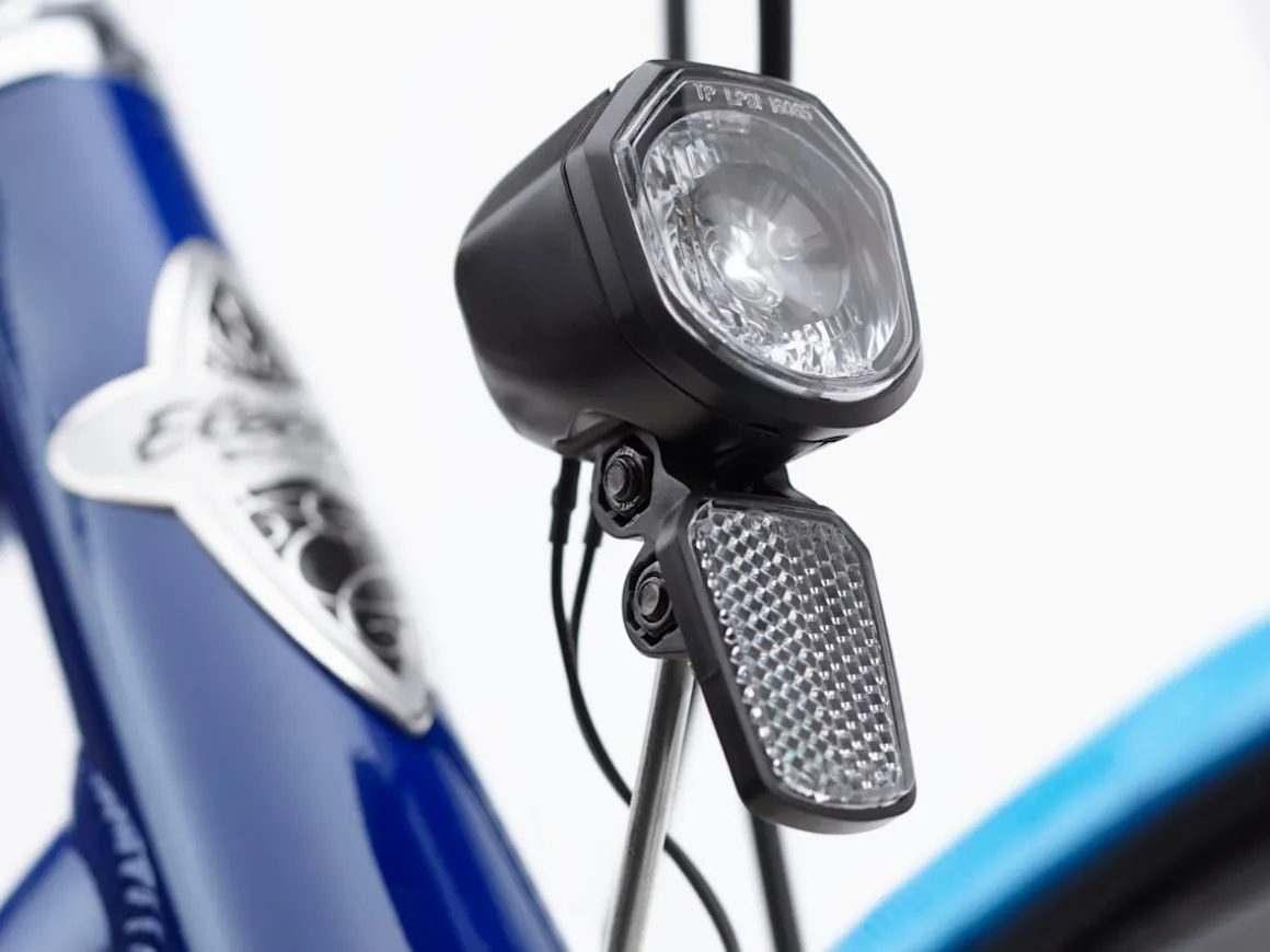 Trek Bikes Shibori Cruiser Go!