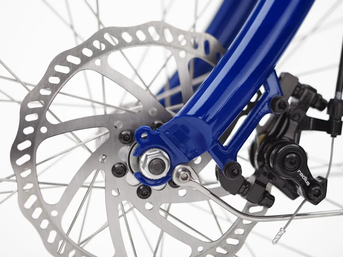 Trek Bikes Shibori Cruiser Go!