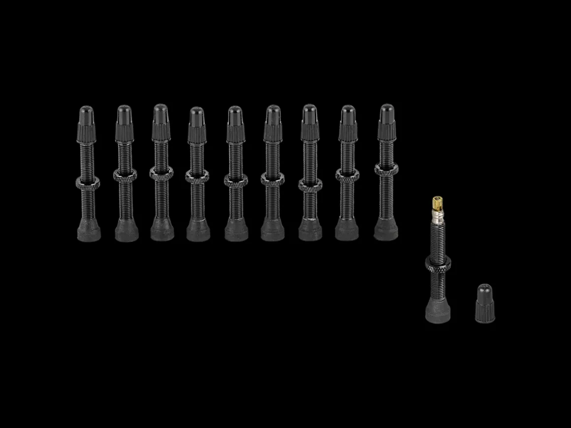 Trek Bikes Stan's NoTubes Tubeless Presta Valve 10 Pack