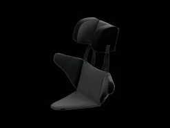 Trek Bikes Thule Baby Supporter