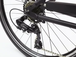 Trek Bikes Townie 7D EQ Step-Over