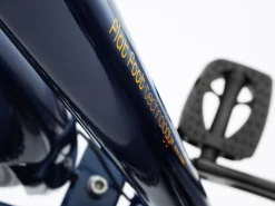 Trek Bikes Townie 7D EQ Step-Over