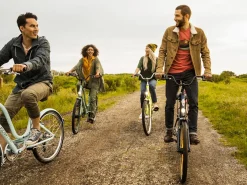 Trek Bikes Townie 7D EQ Step-Over