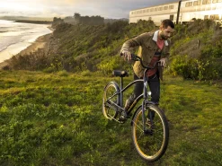 Trek Bikes Townie 7D EQ Step-Over
