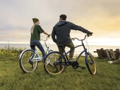 Trek Bikes Townie 7D EQ Step-Over
