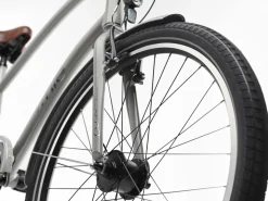 Trek Bikes Townie 7D EQ Step-Over