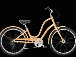 Trek Bikes Townie 7D EQ Step-Thru