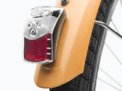 Trek Bikes Townie 7D EQ Step-Thru