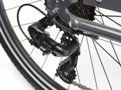 Trek Bikes Townie 7D EQ Step-Thru