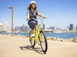 Trek Bikes Townie 7D EQ Step-Thru