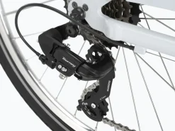 Trek Bikes Townie 7D EQ Step-Thru