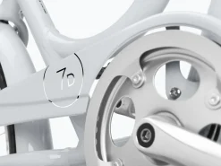 Trek Bikes Townie 7D EQ Step-Thru