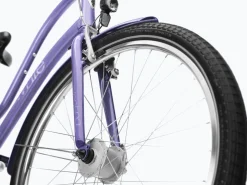Trek Bikes Townie 7D EQ Step-Thru