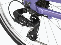 Trek Bikes Townie 7D EQ Step-Thru