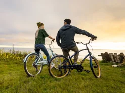 Trek Bikes Townie 7D EQ Step-Thru