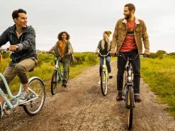 Trek Bikes Townie 7D EQ Step-Thru