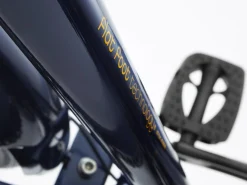 Trek Bikes Townie 7D Step-Over