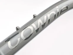 Trek Bikes Townie 7D Step-Over