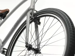 Trek Bikes Townie 7D Step-Over