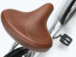 Trek Bikes Townie 7D Step-Thru