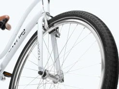 Trek Bikes Townie 7D Step-Thru
