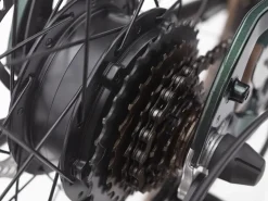 Trek Bikes Townie Go! 7D EQ Step-Over