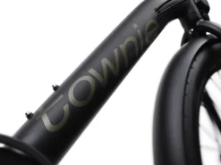 Trek Bikes Townie Go! 7D EQ Step-Over