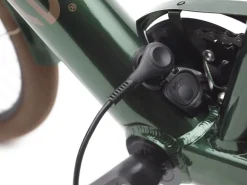 Trek Bikes Townie Go! 7D EQ Step-Over