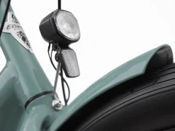Trek Bikes Townie Go! 7D EQ Step-Thru