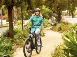 Trek Bikes Townie Go! 7D Step-Over