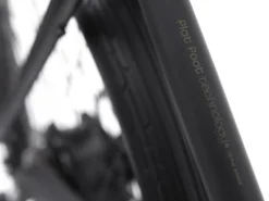 Trek Bikes Townie Go! 7D Step-Over
