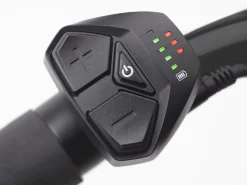 Trek Bikes Townie Go! 7D Step-Over
