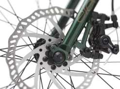 Trek Bikes Townie Go! 7D Step-Over