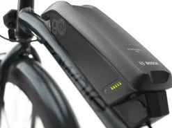 Trek Bikes Townie Go! 5i EQ Step-Over
