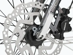 Trek Bikes Townie Go! 5i EQ Step-Over