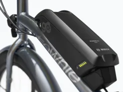 Trek Bikes Townie Go! 5i EQ Step-Over