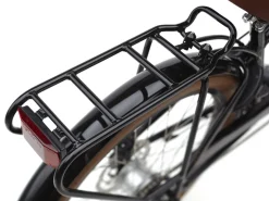 Trek Bikes Townie Go! 5i EQ Step-Over