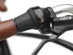 Trek Bikes Townie Go! 5i EQ Step-Over