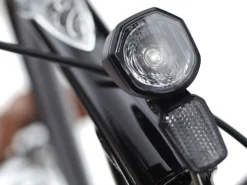 Trek Bikes Townie Go! 5i EQ Step-Over