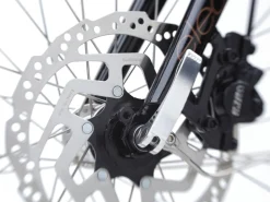 Trek Bikes Townie Go! 5i EQ Step-Over