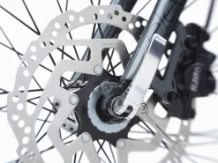 Trek Bikes Townie Go! 5i EQ Step-Over