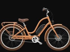 Trek Bikes Townie Go! 5i EQ Step-Thru