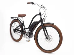Trek Bikes Townie Go! 5i EQ Step-Thru