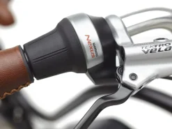 Trek Bikes Townie Go! 5i EQ Step-Thru