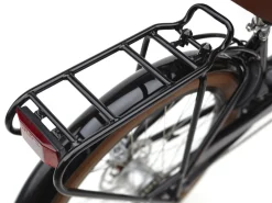 Trek Bikes Townie Go! 5i EQ Step-Thru