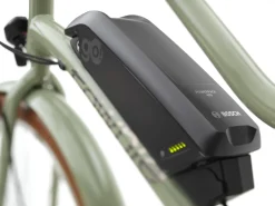 Trek Bikes Townie Go! 5i EQ Step-Thru