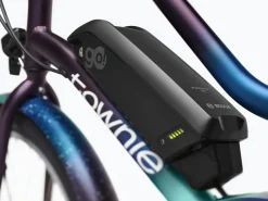 Trek Bikes Townie Go! 5i EQ Step-Thru