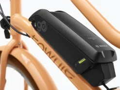 Trek Bikes Townie Go! 5i EQ Step-Thru